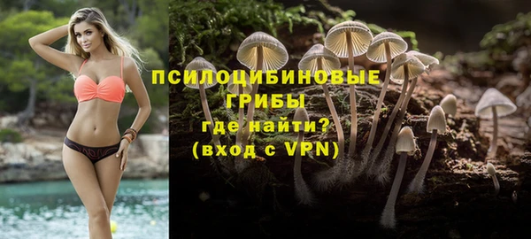 тгк Верхний Тагил