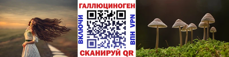 где можно купить Нижнекамск Галлюциногенные грибы мухоморы